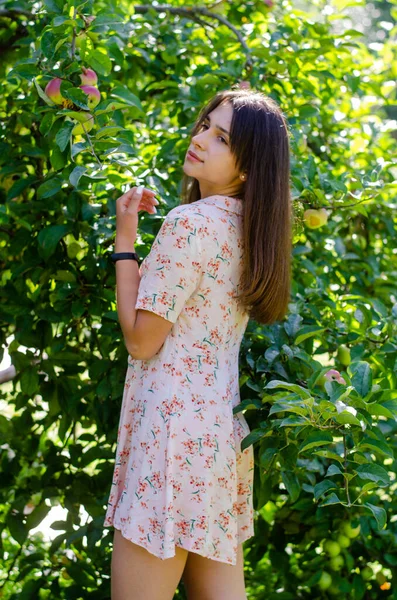 Bella Ragazza Abito Estivo Posa Giardino Nella Giornata Sole — Foto Stock