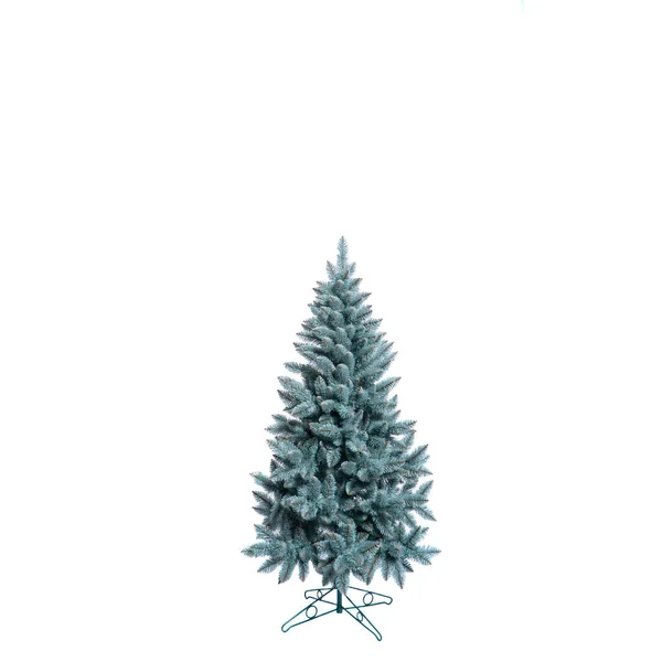 Weihnachtsbaum Zweige Von Blaufichten Auf Einem Strukturierten Hintergrund Blaufichte Grünfichte — Stockfoto