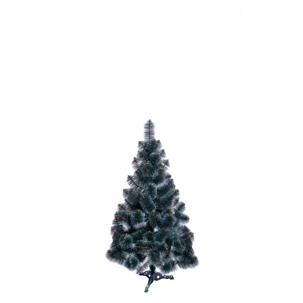 Christmas Tree Blue Spruce Branches Textured Background Blue Spruce Green — Stock Photo, Image