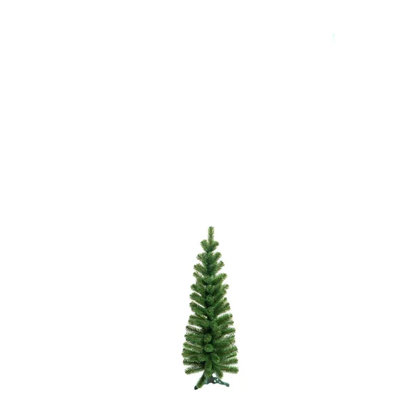 Unadorned Christmas Tree Isolated White — Stock Photo, Image