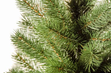 Polikarbonat yapılan yapay iğneler