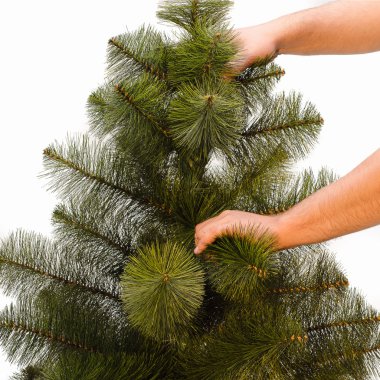 tatil Noel ağacı, beyaz bir araya getirilmesine değişik evrelerinde.