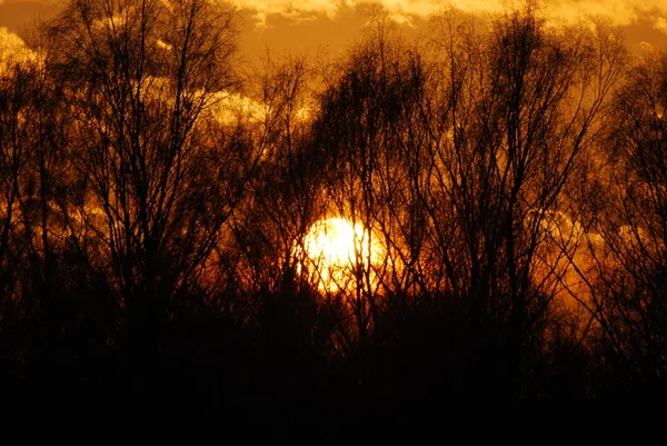 Nature abstraite. ciel nuageux rose, violet et bleu orangé — Photo