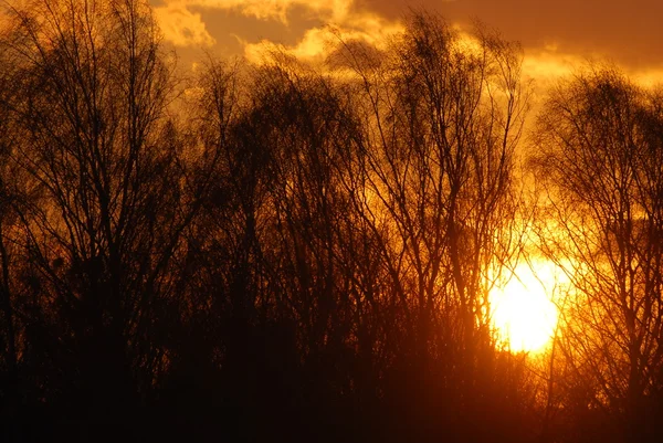 Abstrakte Natur Hintergrund. launischer rosa, lila und blauer wolkenverhangener Himmel bei Sonnenuntergang — Stockfoto