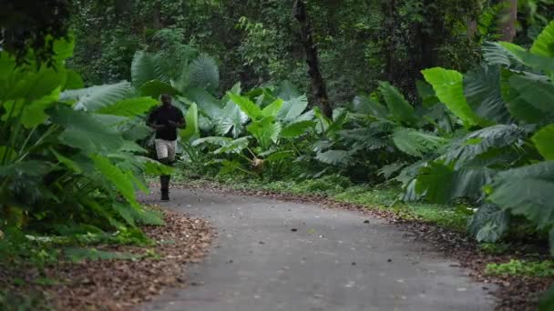 Zwarte sportman joggen in de groene jungle. Lopend licht kruis Rechtenvrije Stockvideo