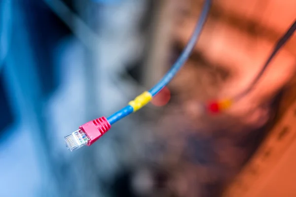 LAN kabel in netwerk kamer — Stockfoto