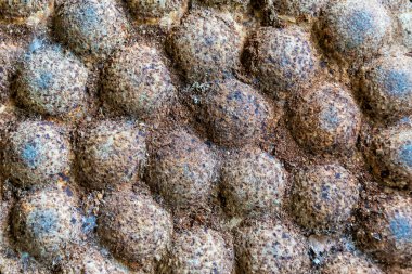 Arka plan öğesi - oluklu Metal sac metal .