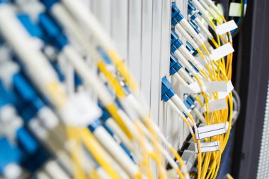 Fiber optik kablo ağı başka bir şeydir. Alma - tra yeteneğine