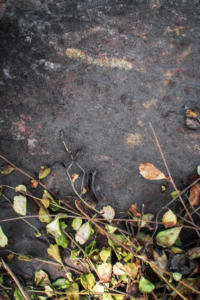 Stone Texture Very Dirty Soft Light — Stock Photo, Image