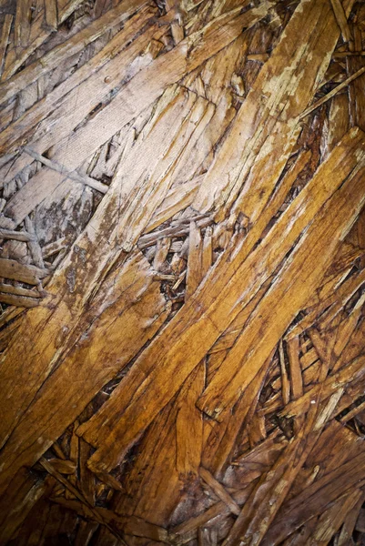 Bark Tree Texture Soft Light — Stock Photo, Image