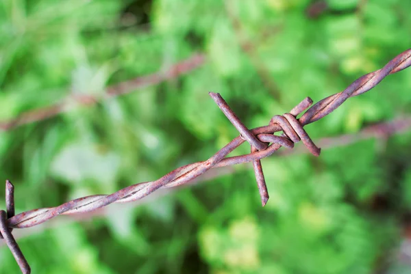 Barbed wire in nature place . — Stock Photo, Image