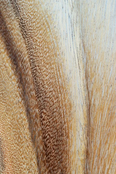 Old wood background drop shadow soft ligh — Stock Photo, Image