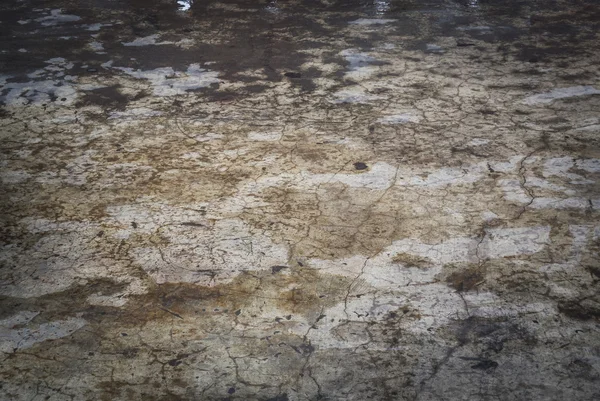 Dirty wet Stone texture — Stock Photo, Image