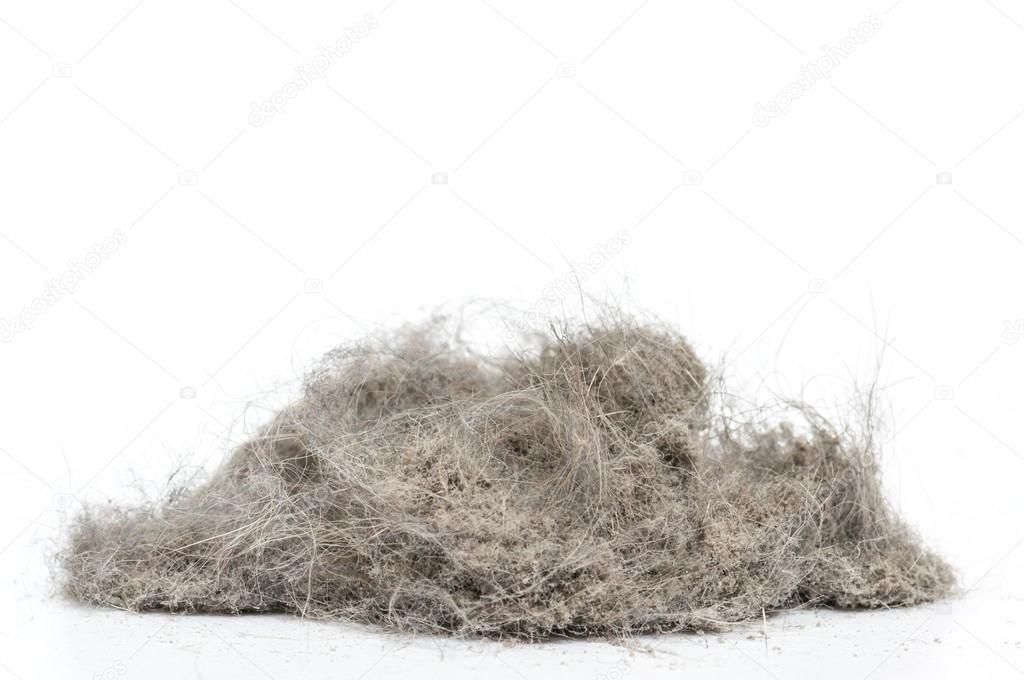 Dust heap with more wool