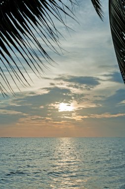 Hindistan cevizi yaprak çerçeve ile gündoğumu .