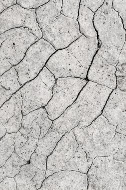 Die moss ile kir arka plan