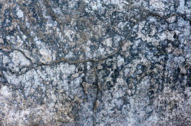 Çatlaklar ve fissür die moss ile