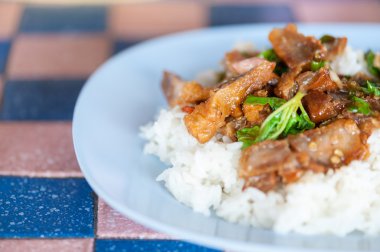 Herb Tay gıda alacakaranlık fesleğen .