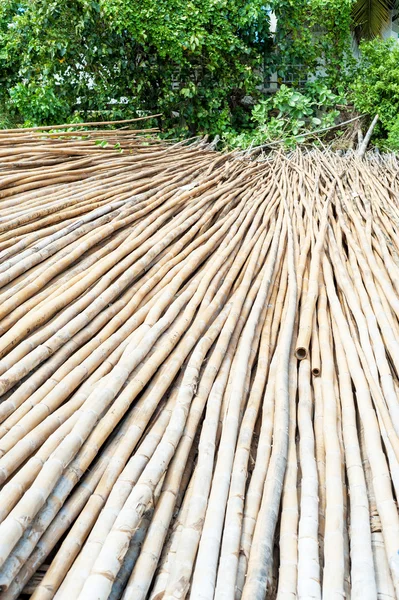 Bambú en grond Piezas de repuesto para Fisher , — Foto de Stock