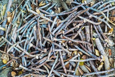 paslı çivi, Zımba, vidalar