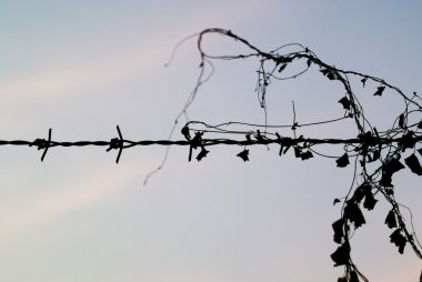 barb tel bir post silüeti