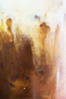 Bir kahve fincanı yakın çekim