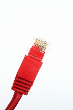 Ağ kablo Rj45 baş beyaz arka plan üzerinde