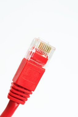 Ağ kablo Rj45 baş beyaz arka plan üzerinde