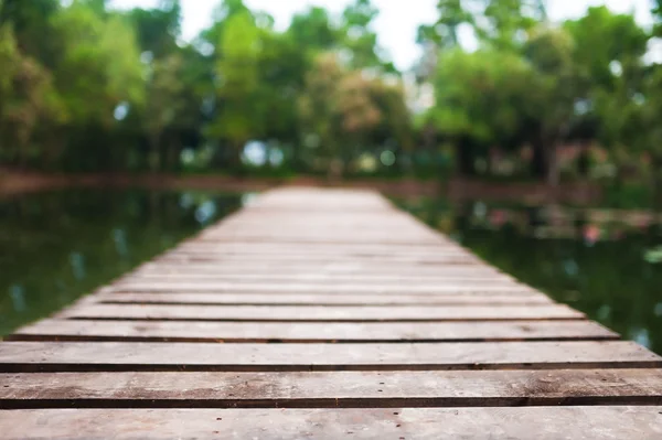 Passerelle dans le parc — Photo