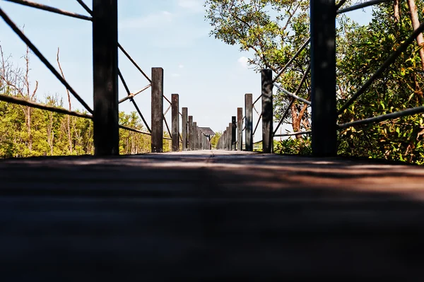 Fußgängerbrücke im Park — Stockfoto