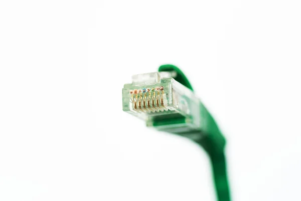 Cable de red RJ45 Cabeza sobre fondo blanco — Foto de Stock