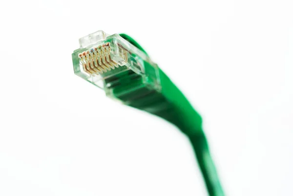 Cable de red RJ45 Cabeza sobre fondo blanco — Foto de Stock