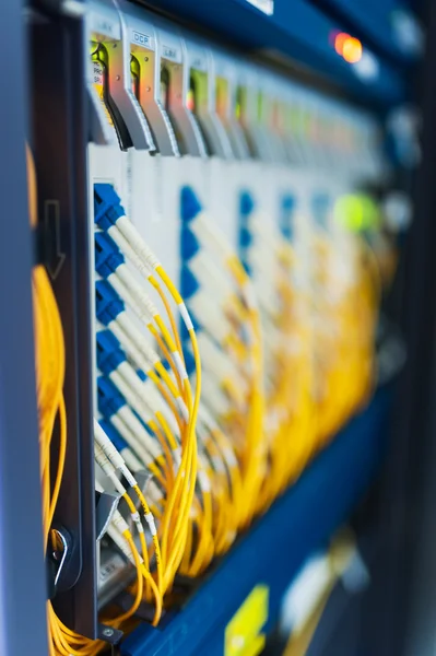 Fibra óptica com servidores em um data center de tecnologia — Fotografia de Stock