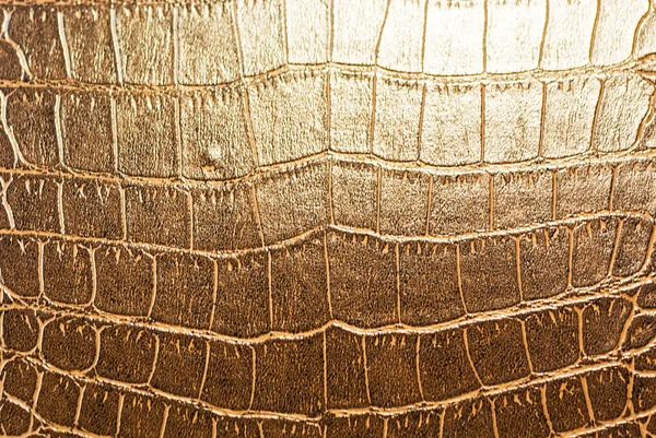 crocodile skin texture dramatic light