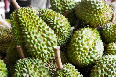 Durian doğa meyve Güneydoğu Asya'da