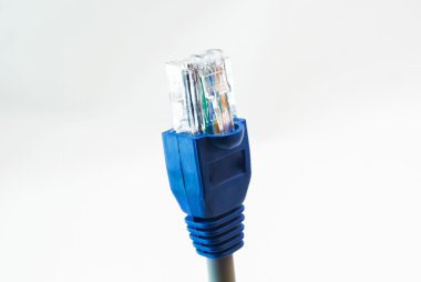 Ağ kablo Rj45 baş beyaz arka plan üzerinde