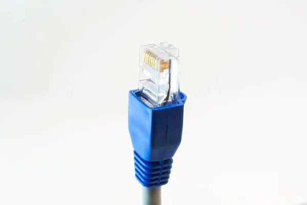 Cable de red RJ45 Cabeza sobre fondo blanco — Foto de Stock