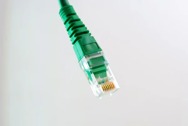 Netwerk kabel Rj45 hoofd op witte achtergrond — Stockfoto