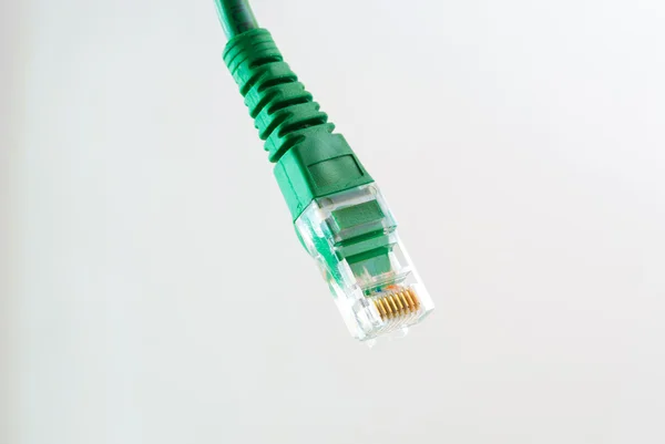Netwerk kabel Rj45 hoofd op witte achtergrond — Stockfoto