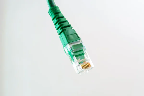 Cable de red RJ45 Cabeza sobre fondo blanco — Foto de Stock