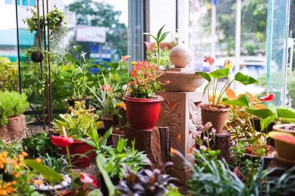 Liten plats trädgård i mjukt ljus — Stockfoto