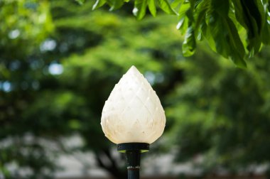 Lamba ışık studio yerde