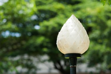 Lamba ışık studio yerde