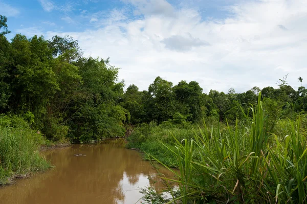 Canal pool of nature in sun light — Stock Photo, Image