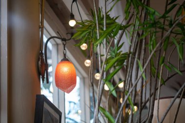 Dekoratif aydınlatma armatürü ve yemyeşil bir iç mekan. Sıcak kolye ışığı bu güzel mekanın davetkar atmosferini arttırır..