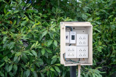Çevresi canlı yeşil yeşilliklerle çevrili dayanıklı bir açık hava güç kutusu, çeşitli dış ihtiyaçlar ve tesisler için elektriğe uygun erişim sağlıyor..