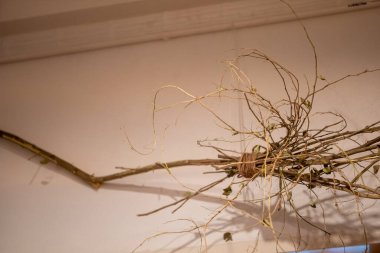 Çarpık dalların ve dalların eşsiz bir düzeni doğal güzellikleri ve organik formları sergiliyor. Yaratıcı dekor, minimalist tasarım veya doğa temalı projeler için ideal.