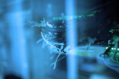 Mavi ışıkta parlayan ağ veri kablolarının yakın plan görüntüsü, modern iletişim teknolojisini ve veri merkezindeki elektronik donanımın karmaşık detaylarını gözler önüne seriyor.