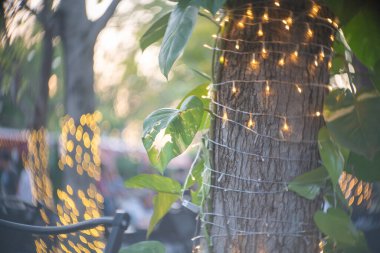 Yumuşak, yeşil yapraklarla çevrili, parıldayan ışıklara sarılmış bir ağacın sakin bir sahnesi. Sıcak ortam, sakin bir açık hava ortamı yaratıyor..