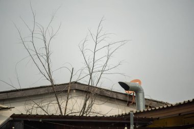 Gri gökyüzüne karşı çıplak dalları olan sakin bir görüntü, çatıdaki boş bir sandalye ile tamamlanmış, yalnızlık ve dinginlik hissi uyandırıyor..